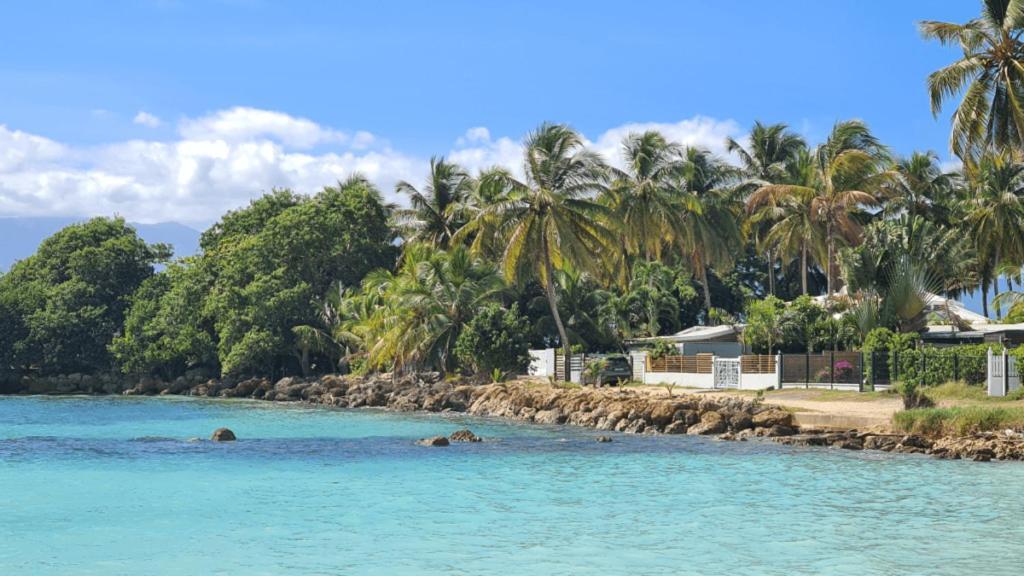 T2 Calme Et Lumineux Au Coeur De Pointe-A-Pitre Apartment Luaran gambar